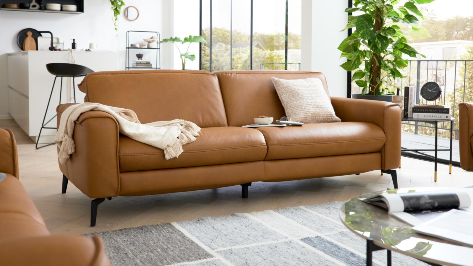 Interliving 3 - Sitzer Serie 4061
